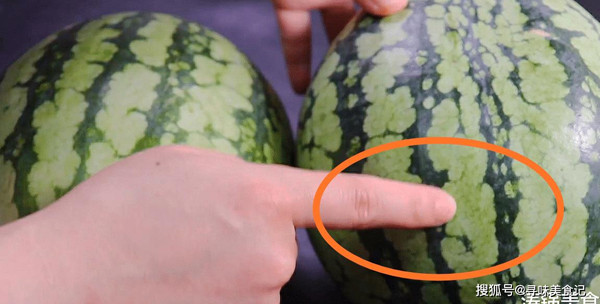 Những quả dưa già, khoảng cách giữa các phần sọc xanh tương đối rộng, màu xanh đậm. Trong khi đó, dưa hấu còn non có khoảng cách giữa các đường sọc xanh hẹp, màu sắc cũng mờ nhạt hơn nhiều.