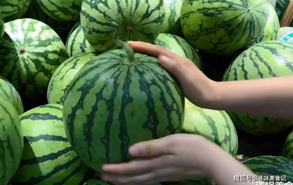 Khi thực hiện, bạn dùng tay trái cầm phần đáy, tay phải gõ vào đầu quả. Nếu thấy âm thanh phát ra “bộp bộp” chứng tỏ dưa chín gì nhưng bị nẫu ruột bên trong.