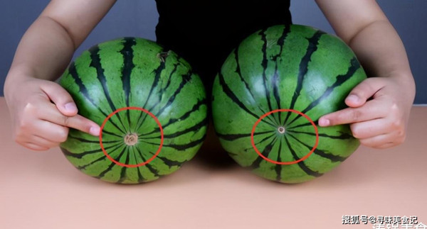 Nhìn vào rốn quả dưa. Phần rốn là phần dưới đáy quả, chỗ mà hoa dưa hấu rụng xuống để lại vết. Nếu phần rốn nhỏ, có độ lõm sâu chứng tỏ quả dưa này tiếp xúc với ánh nắng mặt trời nhiều, vỏ mỏng và phần ruột đỏ đủ ngọt.