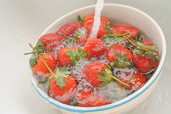 Mặt khác, không giống như cam, chuối, dâu tây không có lớp vỏ bọc bảo vệ bên ngoài. Nó dễ bị sâu bệnh tấn công nên nông dân phải dùng nhiều hóa chất trong quá trình trồng trọ. Độc tính của thuốc trừ sâu phụ thuộc vào chức năng của nó. Hoàn toàn không có lợi cho sức khỏe. Khi đi vào cơ thể, nó có thể ngộ độc. Để đảm bảo sức khỏe, bạn cần chú trọng trong quá trình rửa sạch dâu tây.