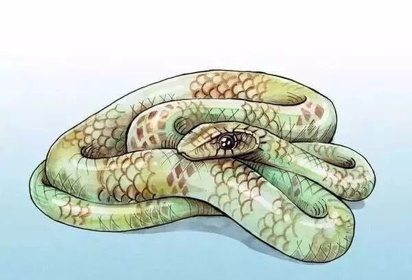 Tuổi Tỵ cảm xúc sa sút, hay cáu gắt, khiến công việc gia tăng áp lực. Tâm trạng không tốt, con giáp đừng sa vào đầu tư kẻo thua lỗ.