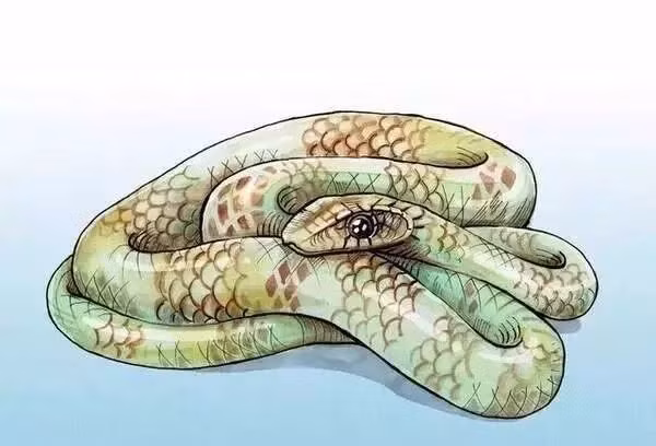 Tuổi Tỵ cảm xúc sa sút, hay cáu gắt, khiến công việc gia tăng áp lực. Tâm trạng không tốt, con giáp đừng sa vào đầu tư kẻo thua lỗ.