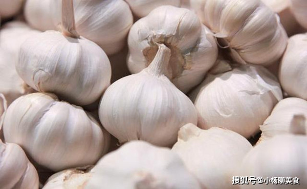 Thay vào đó, bạn nên chọn những củ tỏi cỏ vỏ ngoài trắng pha chút tím, hoặc tím toàn bộ. So với loại vỏ trắng, loại này được đánh giá có tính kháng viêm mạnh, đậm vị hơn.