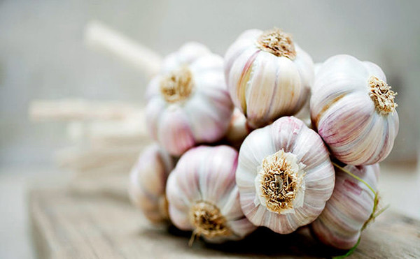 Tỏi là gia vị quen thuộc, giàu giá trị dinh dưỡng. Theo nghiên cứu, 100g tỏi có chứa 6,36g protein, 33g carbohydrates, 150g calo và các dưỡng chất như allicin, sulfur, glycosides, vitamin nhóm B (B1, B2, B3, B6), sắt, canxi, kali, mangan, magie, photpho,...