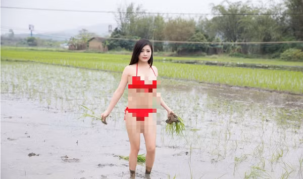 Không cần bất kì phụ kiện bảo hộ nào, cô nàng mạnh dạn lội ruộng, tay cầm mạ làm thao tác cấy lúa. Thay vì được khen đảm đang, đa số người nhìn đều lắc đầu ngán ngẩm, cho rằng cô nàng chủ yếu khoe thân, thời trang không liên quan tới bối cảnh.