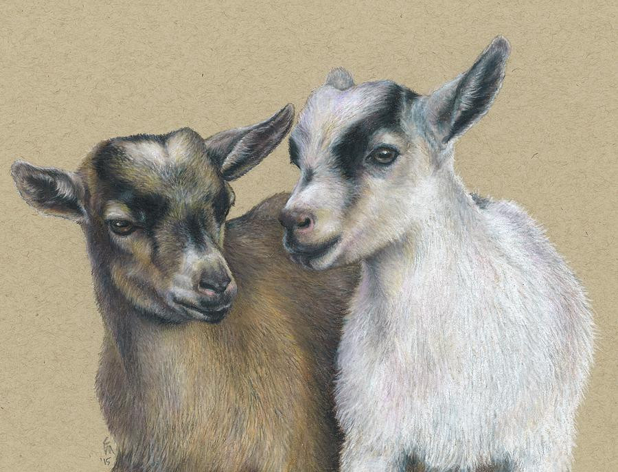 Bản chất người tuổi Mùi dù gặp khó khăn trong công việc, vẫn không ngừng học hỏi, nâng cao năng lực của mình. Vì vậy, chỉ cần khi thời cơ tìm đến, con giáp sẽ gặt hái thành quả - là trái ngọt mình dày công vun trồng bao ngày.