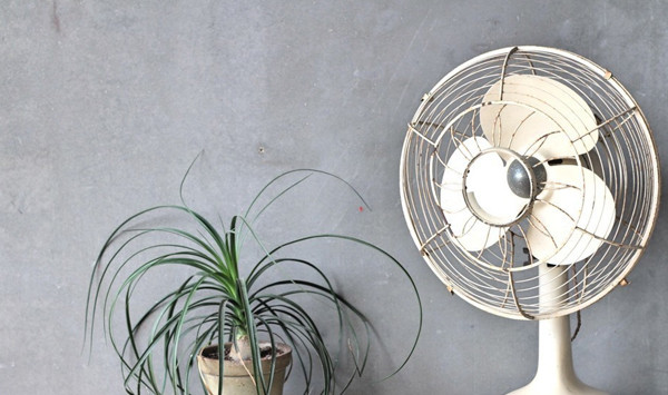 Nguyên tắc làm mát của quạt điện là làm quay cánh quạt, khuấy động không khí tĩnh để tạo gió. Gió sẽ làm bay hơi và lấy đi nhiệt lượng bề mặt cơ thể, từ đó tạo cảm giác mát mẻ.