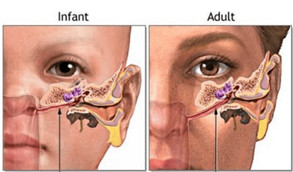 Giat minh he luy cua viec veo song mui lam dep tho bao-Hinh-2