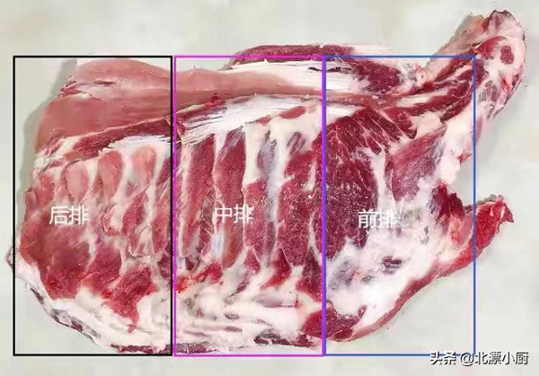 Ở hàng trước, lớp sụn trải dài các rẻ xương thường to và cứng. Những người có sở thích ăn xương sụn nên chọn chúng để chế biến món ăn.
