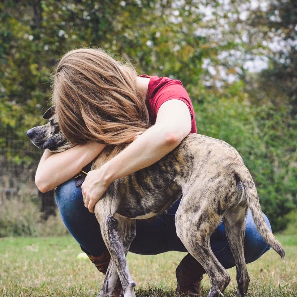 Trong cơn tuyệt vọng, một người tốt bụng xuất hiện. Đó là cô Danielle Boyd, một thực tập sinh tại bệnh viện thú y. Xúc động bởi sự dũng cảm của Squish, Danielle quyết định nhận nuôi Squish và chi trả chi phí phẫu thuật cho nó.