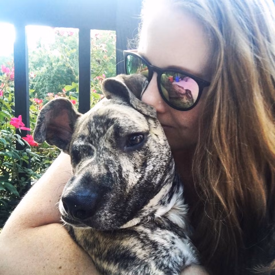 Tại đây, khuôn mặt biến dạng của chú chó được cho là do bị đánh bởi một vật cứng vào đầu, chứ không phải bị cắn dẫn đến nhiễm trùng. Con vật cần phẫu thuật hàm và tiếp tục điều trị, nhưng chi phí khá lớn.