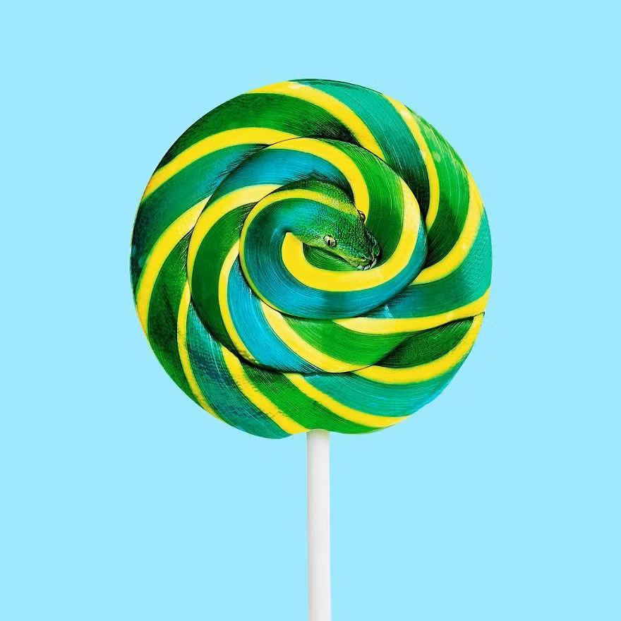 Thông thường, chất liệu để Randy sáng tạo đến từ chính những hình ảnh thông thường.