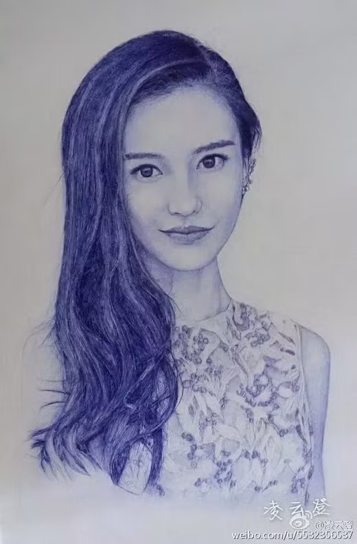 Khi các chuyên gia hội họa xem qua tác phẩm của Vân Đăng đều phải gật đầu khen ngợi: "Những chi tiết trong các tác phẩm này đều được miêu tả cực kỳ sinh động, sáng tối cũng rất tốt, bút lực và kỹ xảo đều được vận dụng hết sức có tâm".