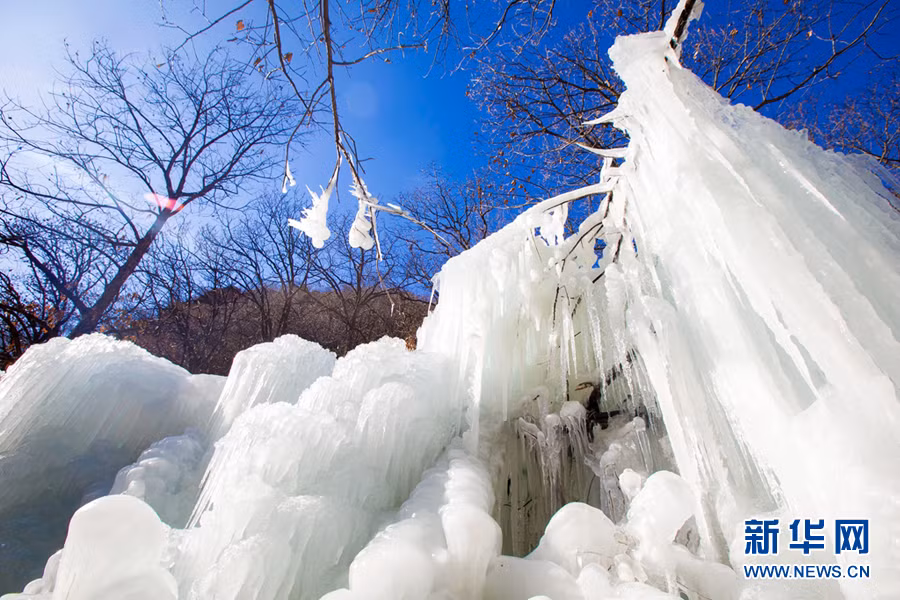Toàn bộ khung cảnh vô cùng diễm lệ, khiến người xem ngắm không muốn rời mắt.