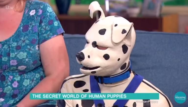 Tên chó của Tom là Spot. Giống như hầu hết những con chó khác, "người chó" Spot có một chủ nhân, đó chính là Rachel Watson, người bạn gái thân thiết của Tom. (Nguồn Boredomtherapy)