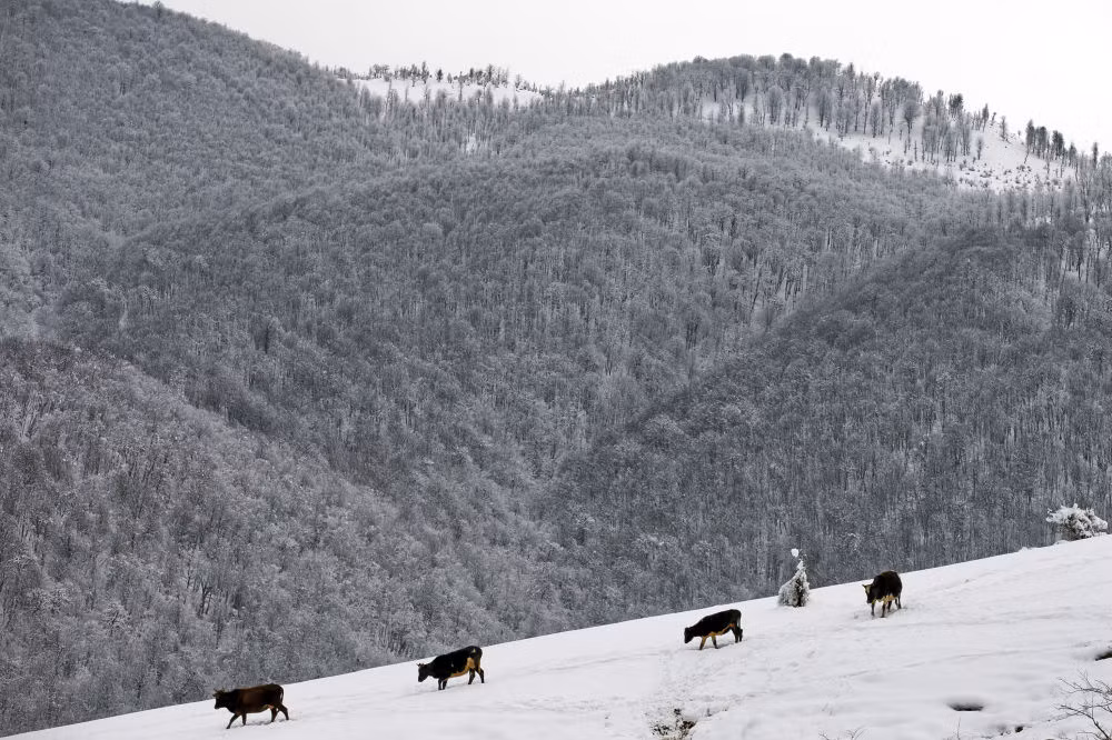 Một khung cảnh rộng lớn, bao la trên núi Talysh vào mùa đông. Ảnh Sputnik