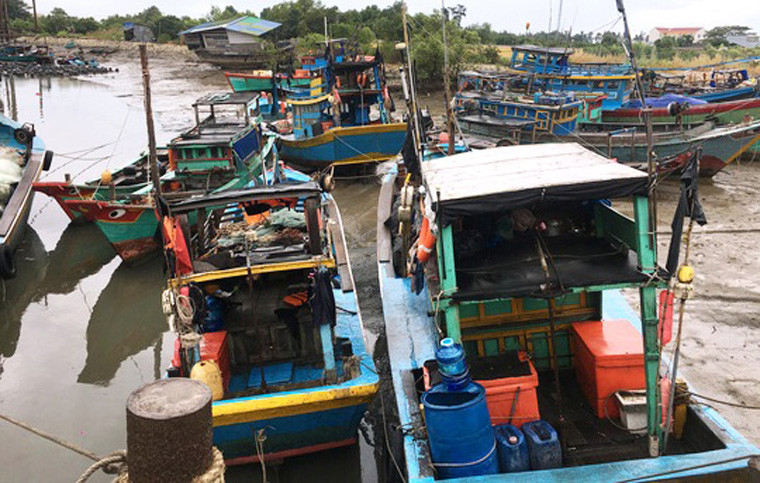 Đến thời điểm sáng 24/11, 1.000 con tàu ở bến đò Đồng Tranh đã cập bến trú bão.