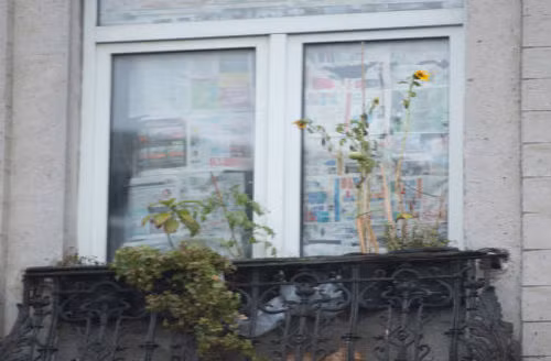 Ngày 20/11, cảnh sát Bỉ đã đột kích vào một căn hộ một phòng tồi tàn với cửa sổ được phủ kín báo ở quận Molenbeek, Brussels, Bỉ.