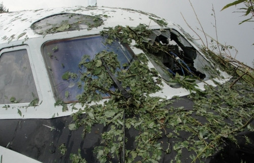 Phần thân của máy bay đâm vào cánh rừng rậm rạp.