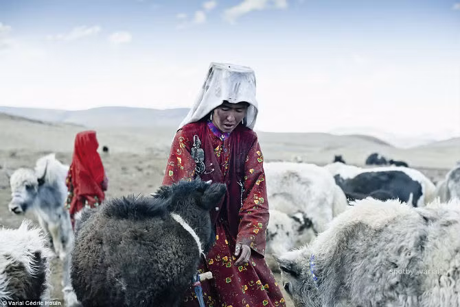 Cuoc song cua bo lac du muc “bi lang quen” o Afghanistan-Hinh-9