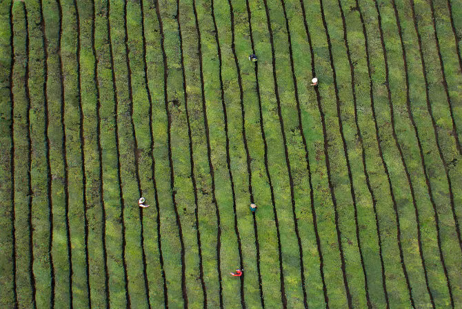 Canh dep me hon o Trung Quoc nhin tu tren cao-Hinh-10