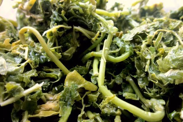 Dưa sắn trước khi đem nấu nên cắt đoạn nhỏ khoảng 1,5 cm, cho vào nồi, đổ thêm nước lã hoặc nước dưa rồi đun lên. Nêm nếm gia vị và đun khoảng 2 – 3 tiếng thì dưa sắn mới nhừ. 