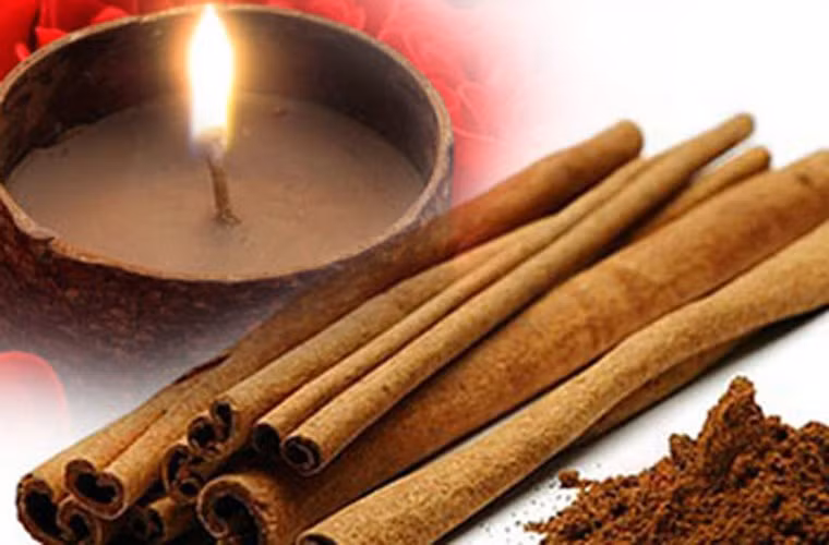  Triclosan hiện bị cấm sử dụng tại Nhật Bản, Canada. Để bảo vệ sức khỏe, nên lựa chọn những sản phẩm làm sạch, tạo mùi tự nhiên như giấm, baking soda, tinh dầu quế… thay vì các loại sản phẩm chứa chất diệt khuẩn. 