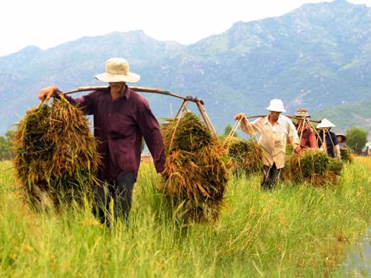  Đội mũ. Ngay cả khi trời không nắng gắt, bạn vẫn nên trang bị một chiếc mũ khi làm việc. Mũ với lớp vành rộng góp phần ngăn chặn sự tiếp xúc với ánh mặt trời ở vùng mặt, cổ và tai. Đặc biệt, đây là một trong những bộ phận ít được bảo vệ bằng vải vóc.