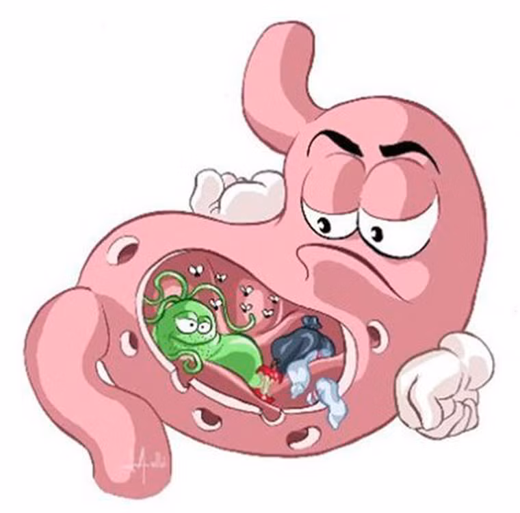 Đặc biệt, độ tuổi mắc ung thư dạ dày chủ yếu rơi vào đối tượng người cao tuổi. Khoảng 9/10 ca mắc bệnh được phát hiện ở những người từ 55 tuổi trở lên.