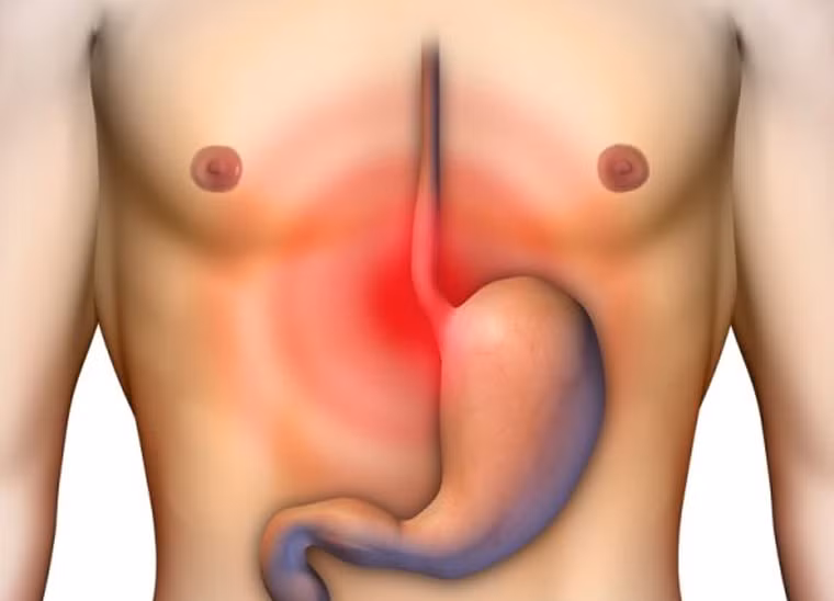 Theo chuyên gia dinh dưỡng, dạ dày là cơ quan làm việc hiệu quả ăn uống đúng giờ. Khi không có thức ăn để tiêu hóa, các dịch axit, pepsin vẫn co bóp gây ảnh hưởng tiêu cực đến niêm mạc dạ dày.