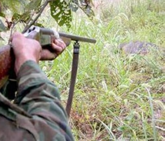 Nhưng bản tính "máu lạnh" của Gát cũng dần bộc lộ từ những cuộc đi săn này. Một lần, cả nhóm dân bản vào rừng, trong lúc bắn một con gà, Gát vô tình làm bị thương một người. Trong khi những người khác xúm vào chữa trị, khiêng nạn nhân về thì Gát vẫn tỉnh bơ, tiếp tục ở lại để "rình" bằng được con thú đã định. Từ đó, người dân Cốc Mỳ khi nhắc đến Gát đều tỏ ra lảng tránh, sợ hãi. (Ảnh minh họa, nguồn internet)