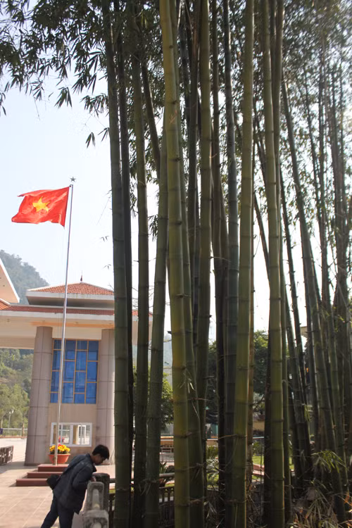 Chuyen chua ke ve khom tre chu quyen o bien gioi Viet - Trung-Hinh-2