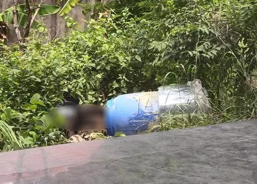 2 thi the vui trong be tong: Hung thu luyen phap luan cong va loi khai soc-Hinh-3