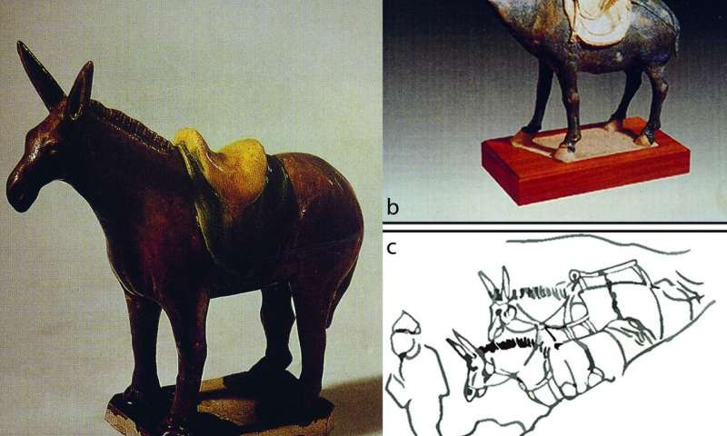 Thêm nữa, dưới thời phong kiến, người Trung Quốc dùng lừa để chở hàng hóa.