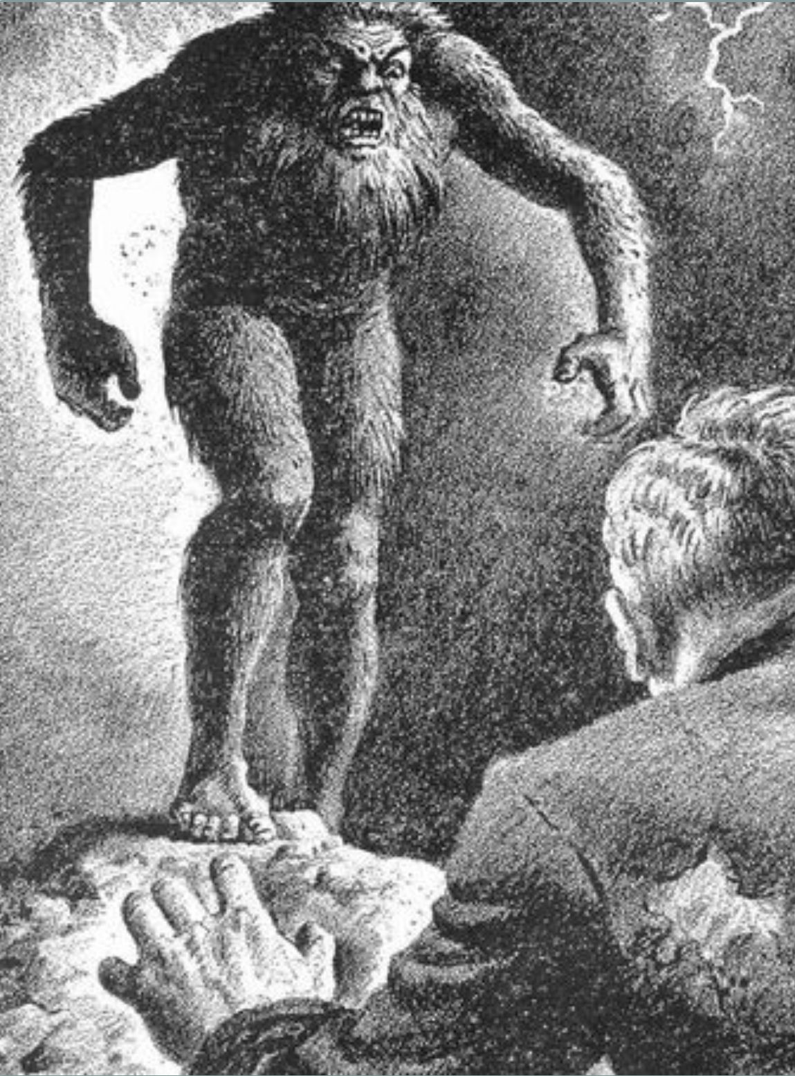 Dù vậy, vẫn có người "chạm mặt" quái thú trên. Những nhân chứng mô tả quái vật nửa người nửa thú có thân hình to lớn như những con gấu, lông dày và rậm. Nó có thể đứng thẳng trên 2 chân.