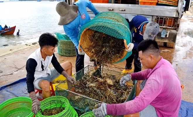 An pizza 6 thang khong hong, uong nuoc ngot het date ca nam-Hinh-6