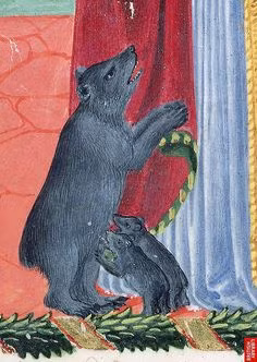 Dưới thời Trung cổ, gấu đi lang thang ở các vùng nông thôn là điều dễ dàng bắt gặp.