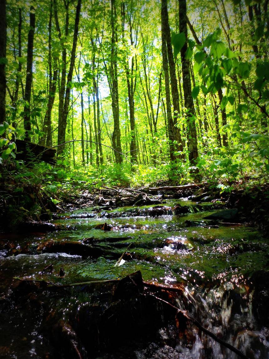 Sau Chiến tranh 1812 giữa Anh và Mỹ, binh sĩ xứ sở xương mù chiếm phần lớn diện tích ở miền đông của Maine.