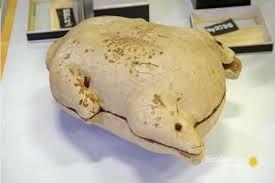 Theo đó, pharaoh Tutankhamun sẽ có thể tiếp tục duy trì thói quen ăn uống thịnh soạn của bậc đế vương khi ở thế giới bên kia.