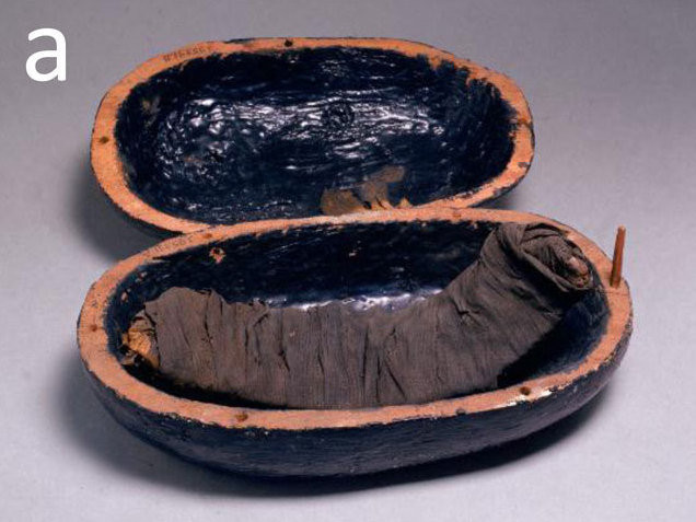 Cụ thể, các chuyên gia tìm thấy bánh mì, rượu, quả lựu, hành xanh và tỏi.