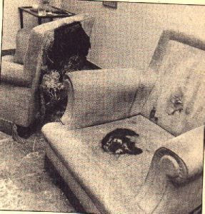 Theo báo cáo của giới chức địa phương, nhiều ngôi nhà trong làng Canneto di Caronia gặp phải sự việc lạ lùng khó lý giải. Đó là một số vật dụng trong nhà đột nhiên bốc cháy như tivi, tủ lạnh, điện thoại di động...