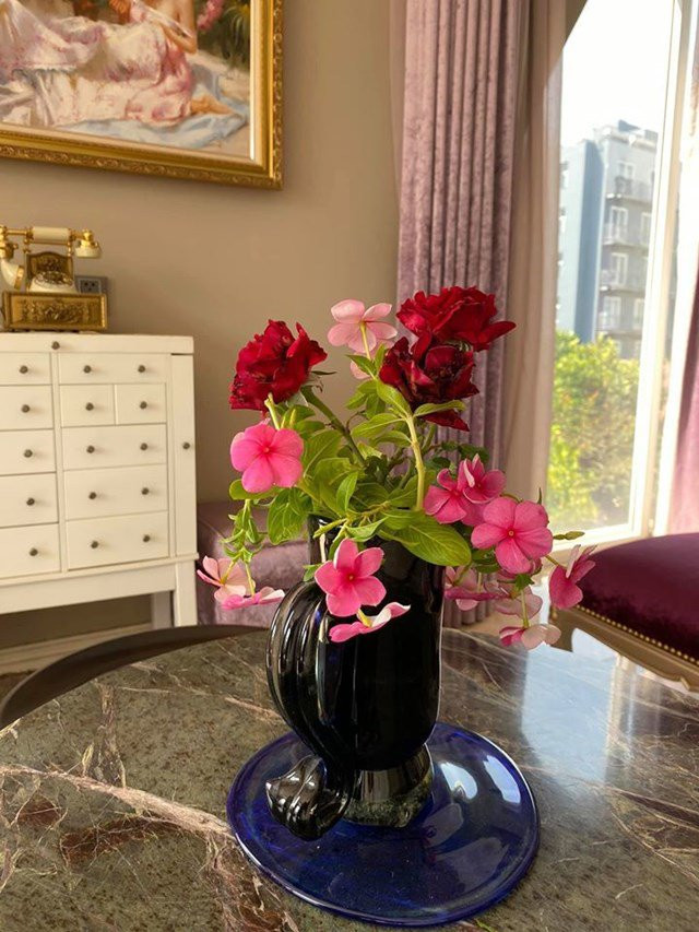 Can canh biet thu to nhu cung dien cua Hoa hau Giang My-Hinh-2