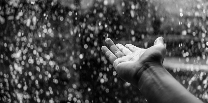 Tất cả chỉ là giả thuyết. Đến nay, giới khoa học vẫn chưa tìm ra nguyên nhân xảy ra trận mưa đỏ như máu hay liệu sự việc kỳ bí này có liên quan đến người ngoài hành tinh hay không.