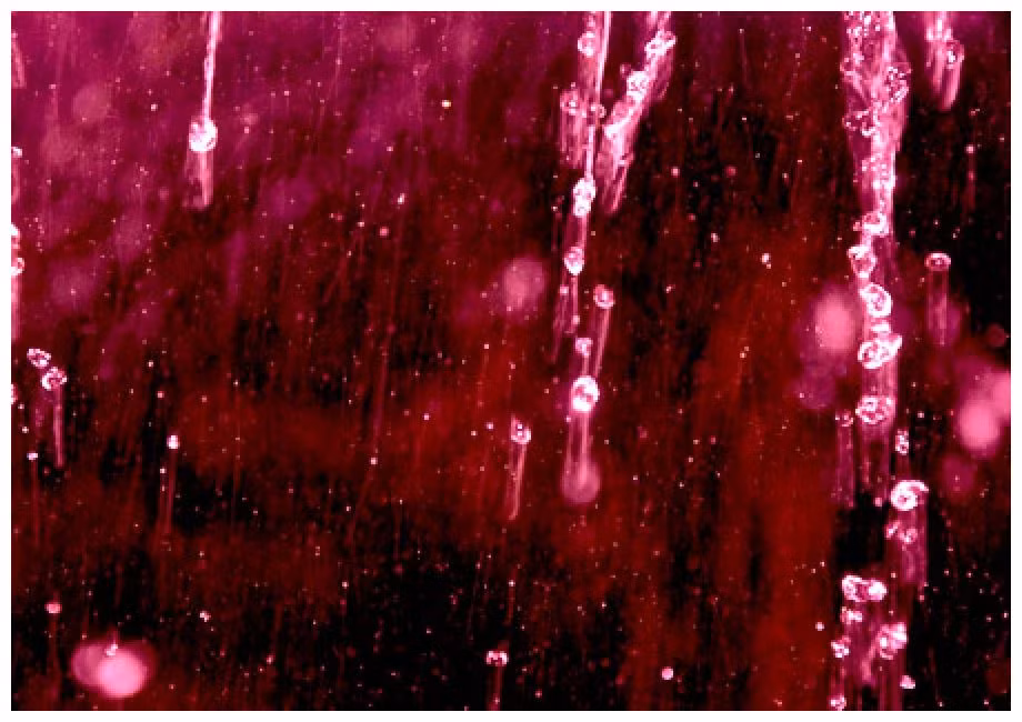 Kết quả kiểm tra cho thấy trong nước mưa đỏ như máu có những tế bào sống không có ADN.