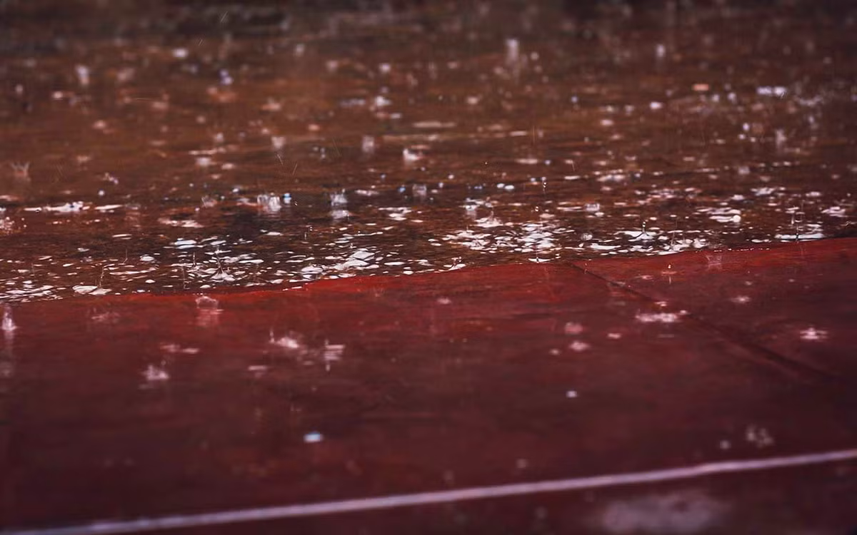 Tuy nhiên, cũng có giả thuyết cho rằng, trận mưa đỏ như máu có thể là hậu quả của tình trạng ô nhiễm không khí.