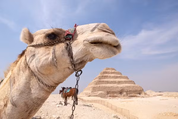 Thế nhưng, dự án này bị gián đoạn bởi cuộc cách mạng Ai Cập năm 2011. Phải tới năm 2013, dự án trùng tu kim tự tháp trên được tiếp tục thực hiện.