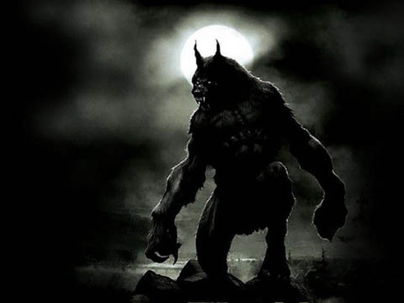 Những người hóa sói thường thuộc nhóm đối tượng làm điều gì quá mức như phá một số luật lệ, quy tắc hoặc là những người đặc biệt.