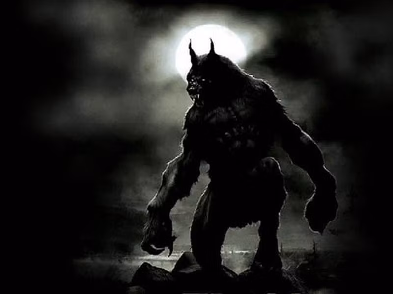 Những người hóa sói thường thuộc nhóm đối tượng làm điều gì quá mức như phá một số luật lệ, quy tắc hoặc là những người đặc biệt.