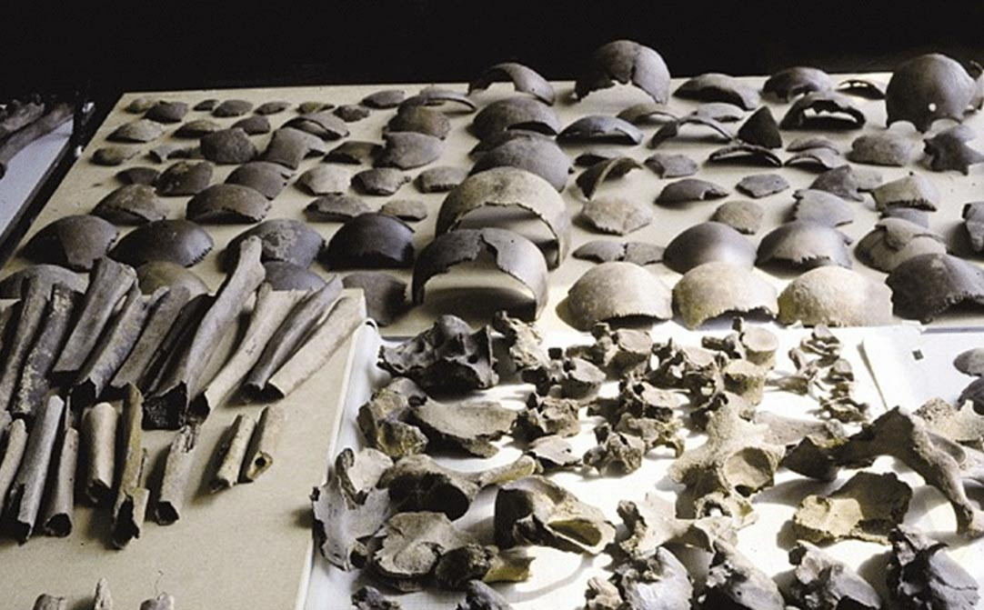 Bởi lẽ, các chuyên gia tìm thấy hàng trăm bộ hài cốt của những nạn nhân trong cuộc thảm sát trên tại Kessel vào năm 2015 giúp giải mã cuộc thảm sát đẫm máu do Caesar tiến hành vào năm 55 trước Công nguyên. Mời quý độc giả xem video: Tái hiện trận chiến lịch sử của hoàng đế Napoleon (nguồn: VTC14)