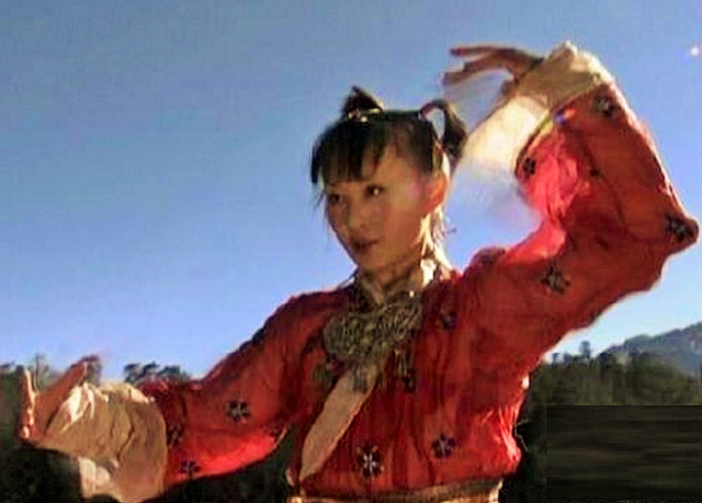 Là đại đệ tử của Tổ Sư phái Tiêu Dao, Thiên Sơn Đồng Lão được sư phụ truyền lại cho 3 bộ võ công. Những bộ võ này gồm: Thiên sơn chiết mai thủ, Thiên sơn lục dương chưởng và thiên trường địa cửu bất lão trường xuân công.